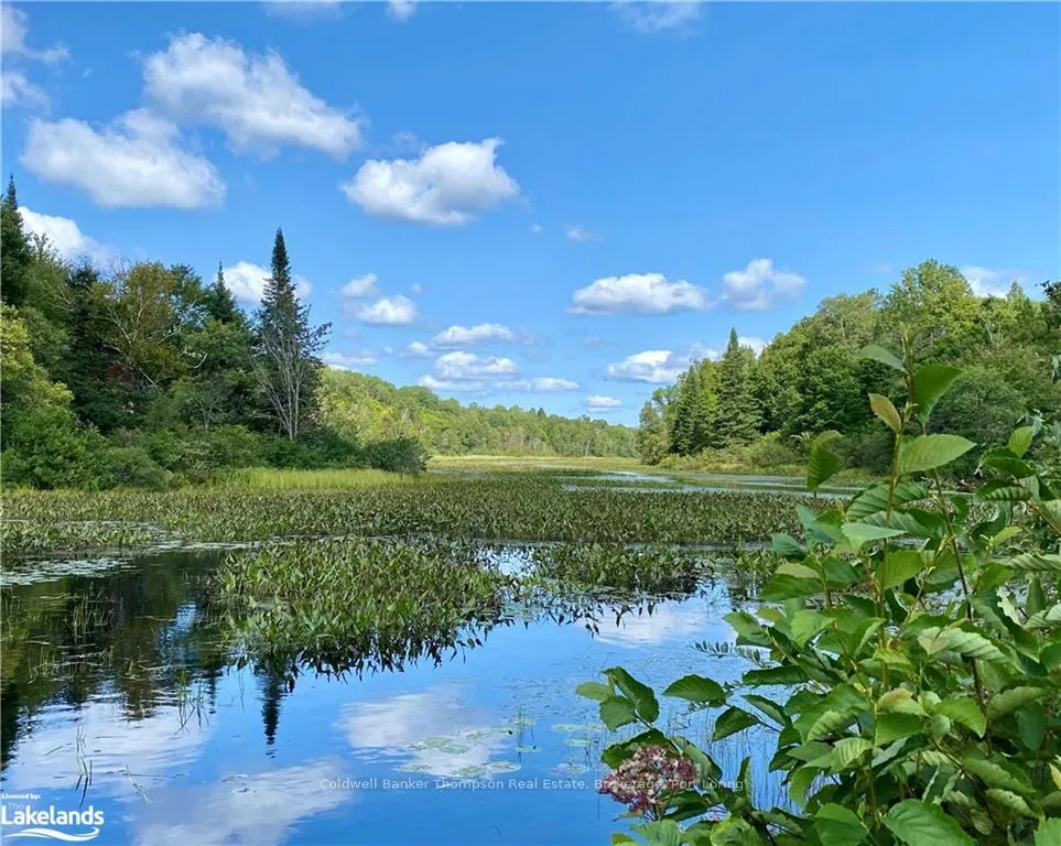 Photo 11 of 151 Maple Drive, Parry Sound Remote Area, Wilson — HOMEH