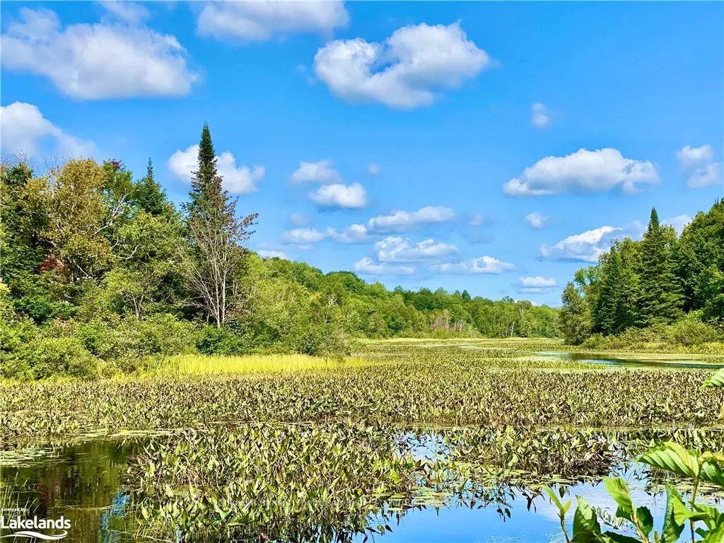 Photo 13 of 151 Maple Drive, Parry Sound Remote Area, Wilson — HOMEH