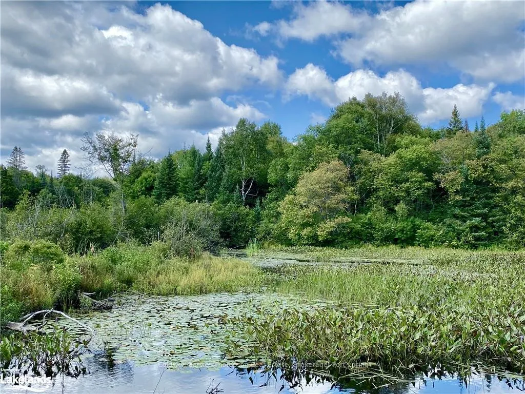 Photo 14 of 151 Maple Drive, Parry Sound Remote Area, Wilson — HOMEH