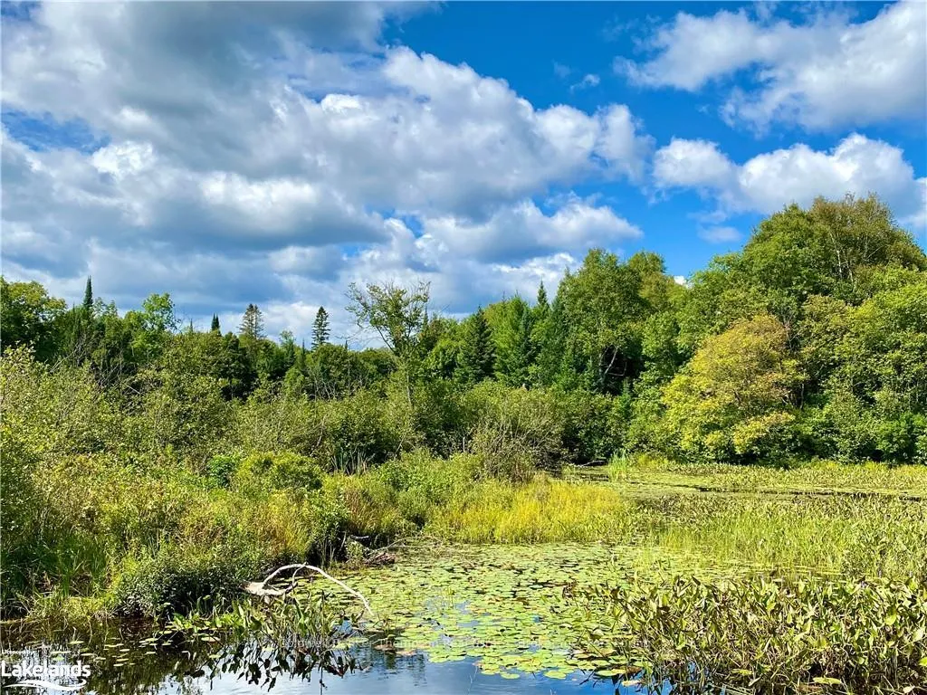 Photo 16 of 151 Maple Drive, Parry Sound Remote Area, Wilson — HOMEH