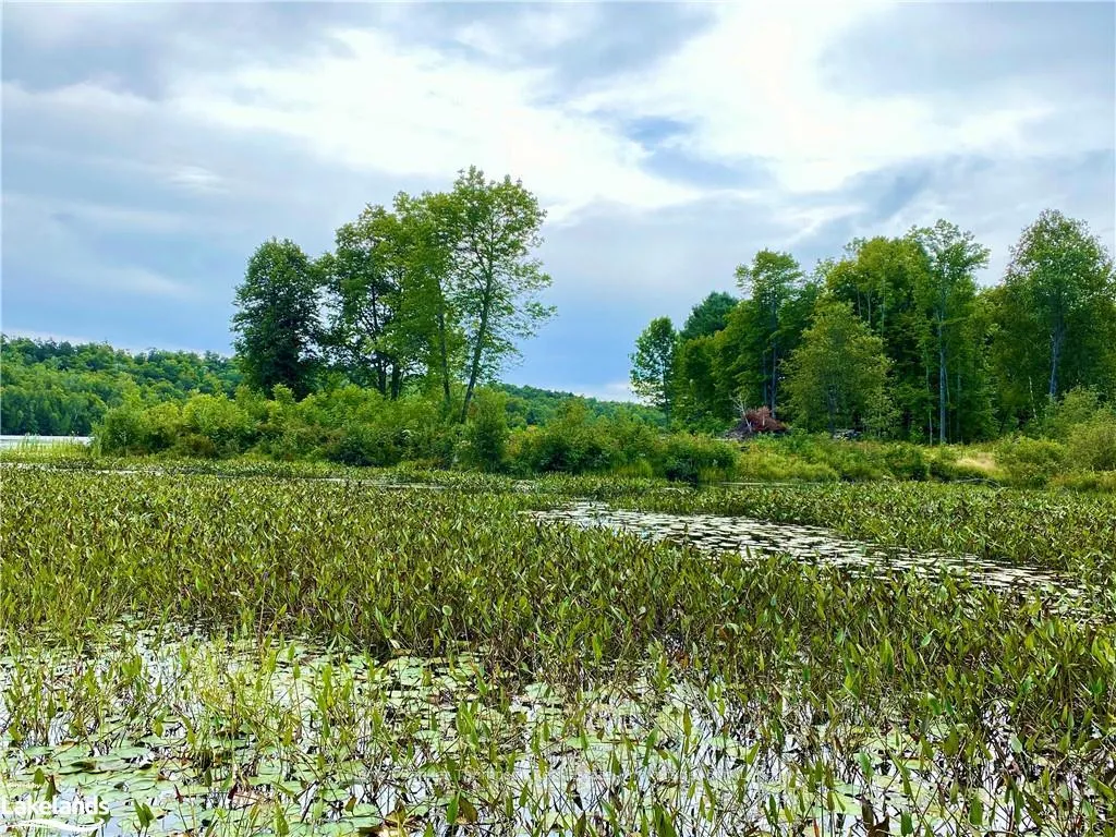 Photo 17 of 151 Maple Drive, Parry Sound Remote Area, Wilson — HOMEH