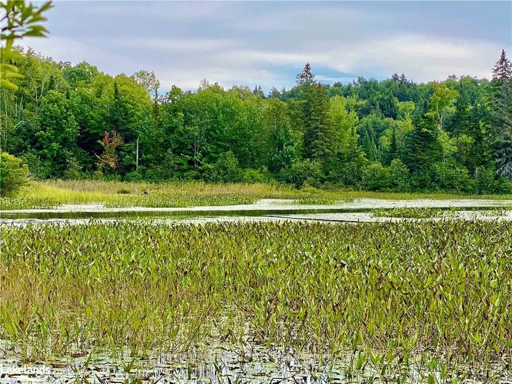 Photo 18 of 151 Maple Drive, Parry Sound Remote Area, Wilson — HOMEH