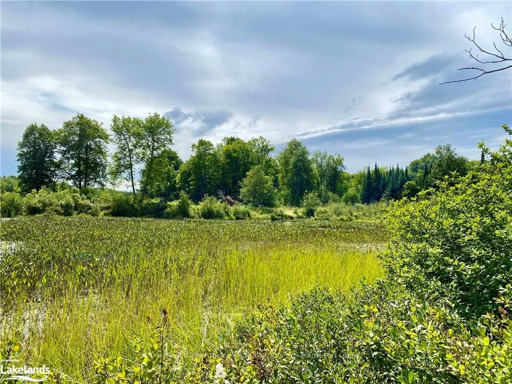Photo 20 of 151 Maple Drive, Parry Sound Remote Area, Wilson — HOMEH