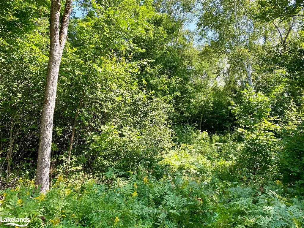 Photo 23 of 151 Maple Drive, Parry Sound Remote Area, Wilson — HOMEH