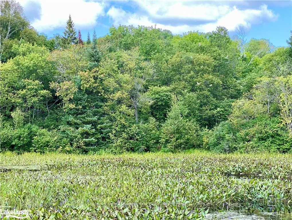 Photo 24 of 151 Maple Drive, Parry Sound Remote Area, Wilson — HOMEH