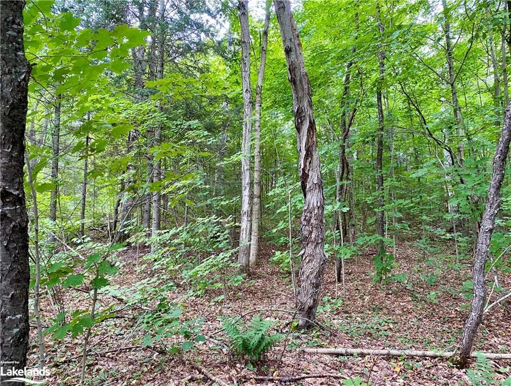 Photo 27 of 151 Maple Drive, Parry Sound Remote Area, Wilson — HOMEH