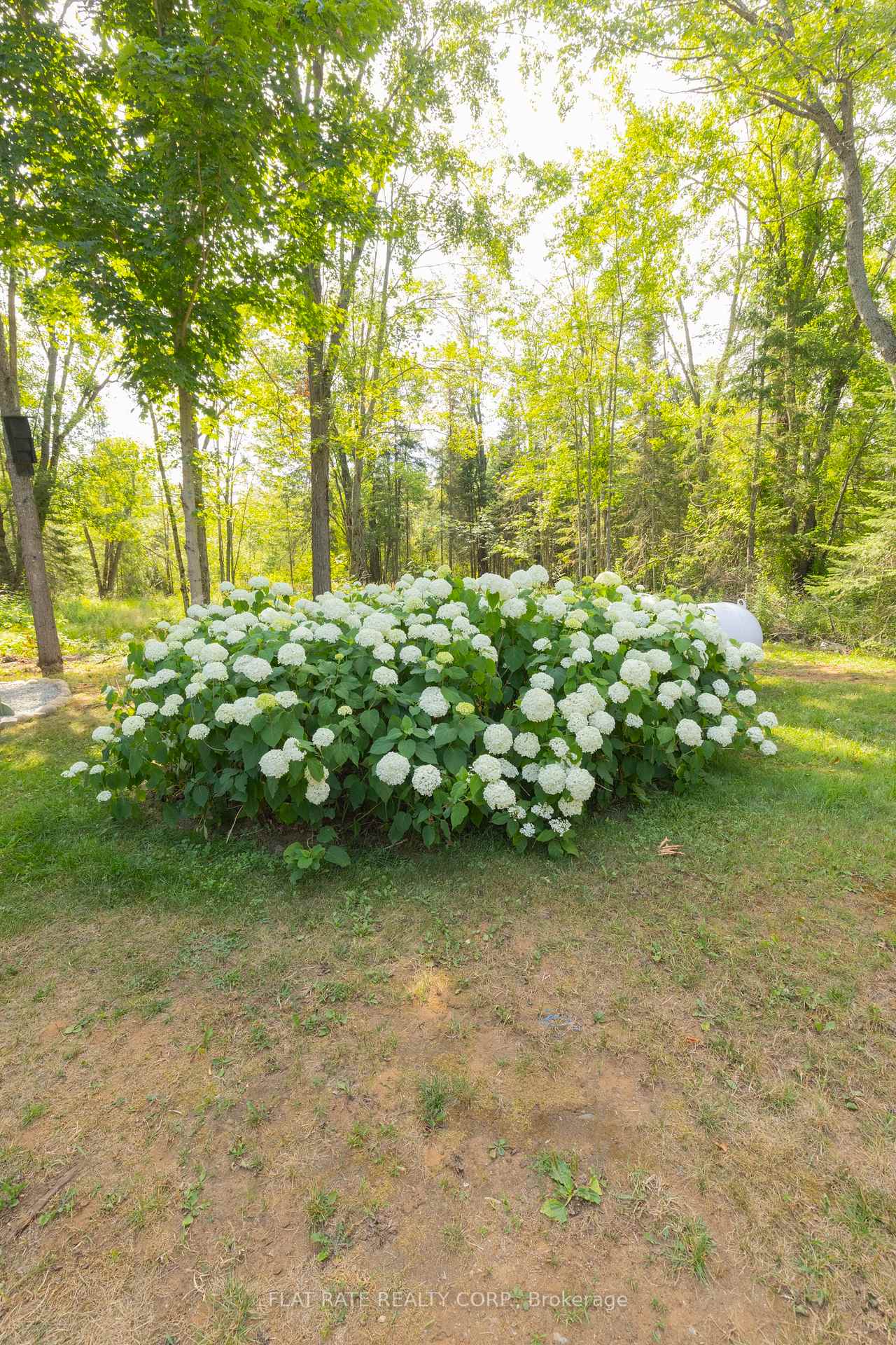 Photo 23 of 166 Mcfadden Road, North Kawartha — HOMEH