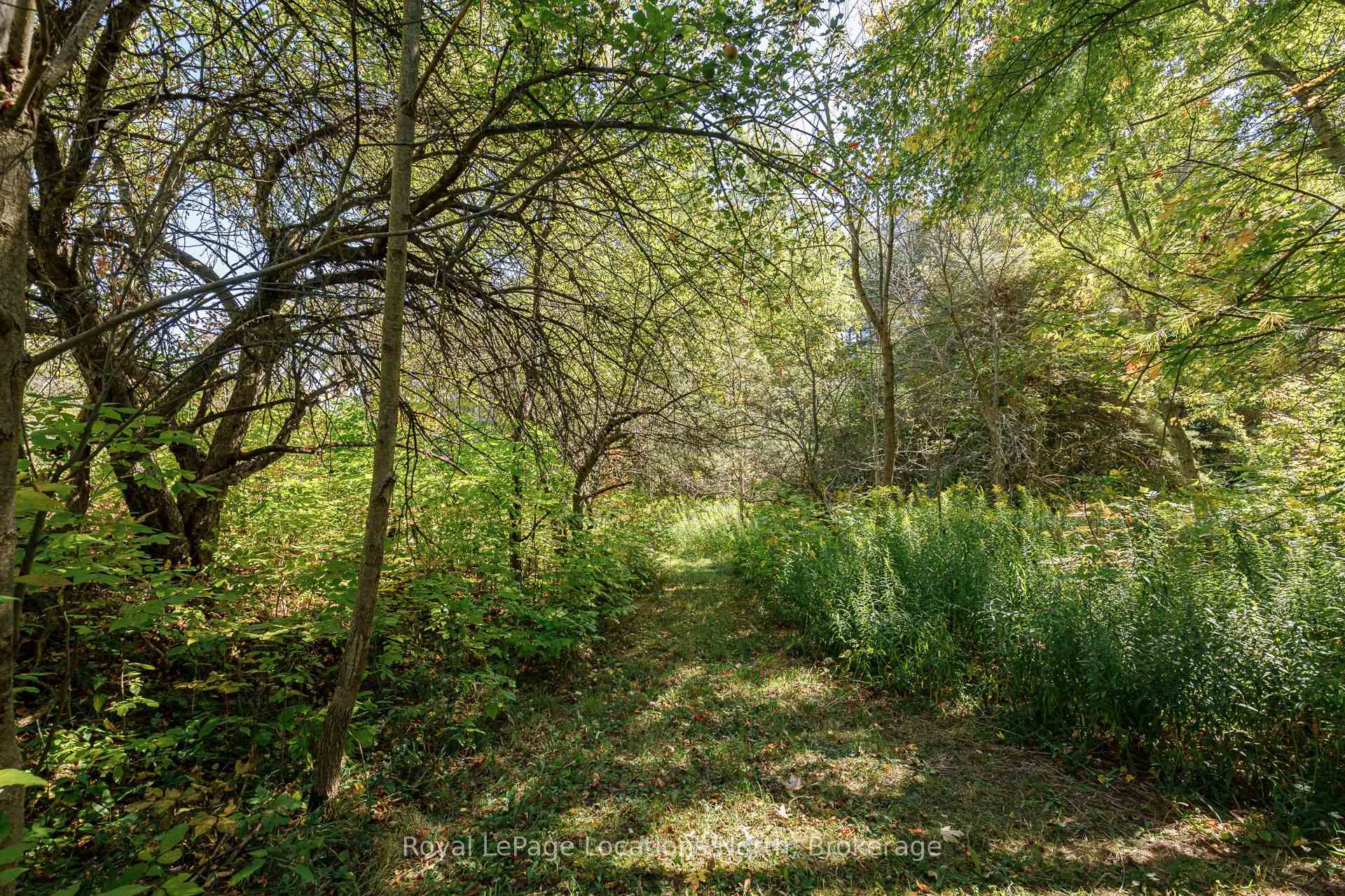 Photo 49 of 758153 2nd Line E, Mulmur, Rural Mulmur — HOMEH