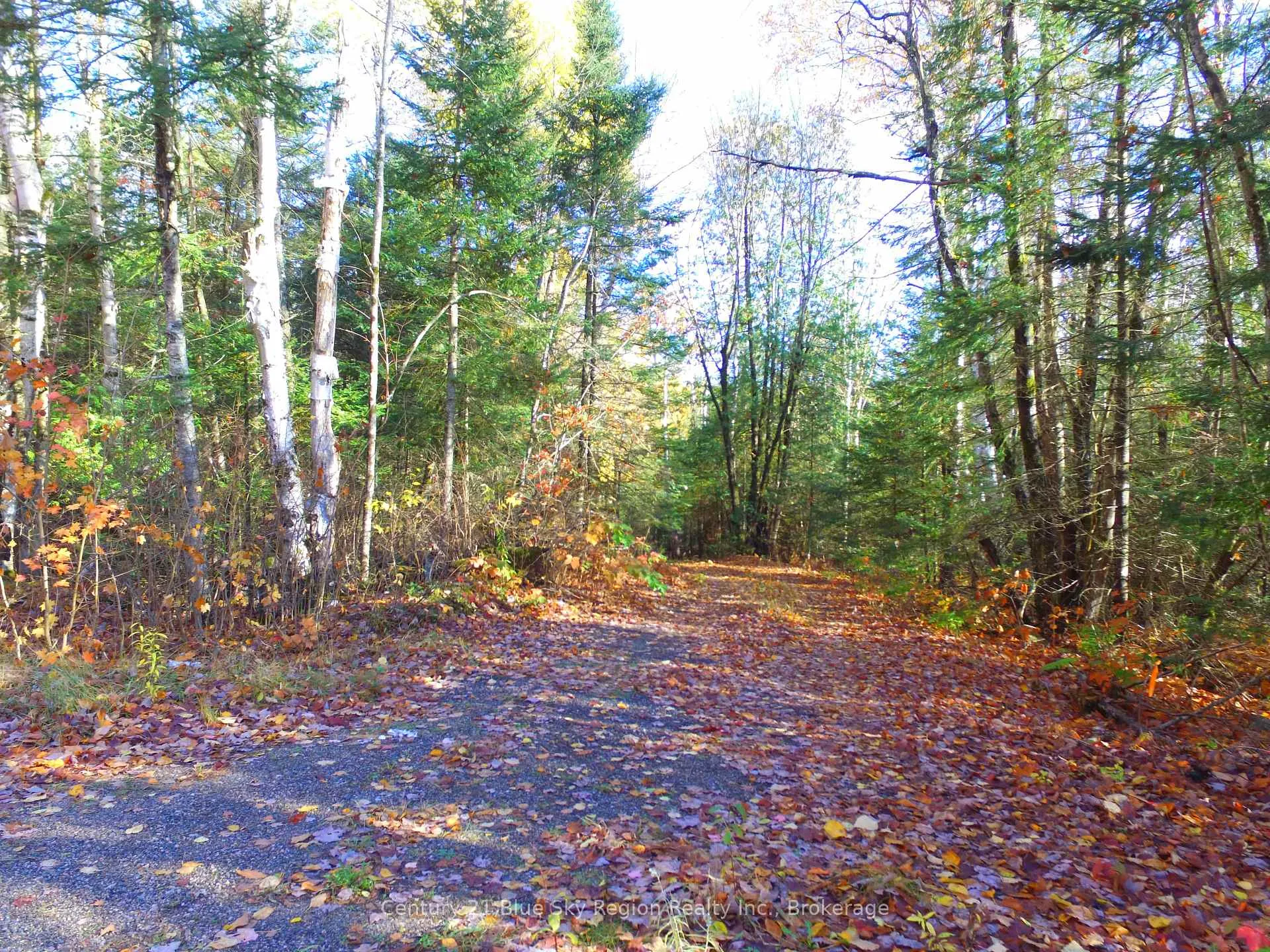 Photo 1 of Pt Lt 2 Con 4 McFadden Line, Parry Sound Remote Area, Laurier — HOMEH