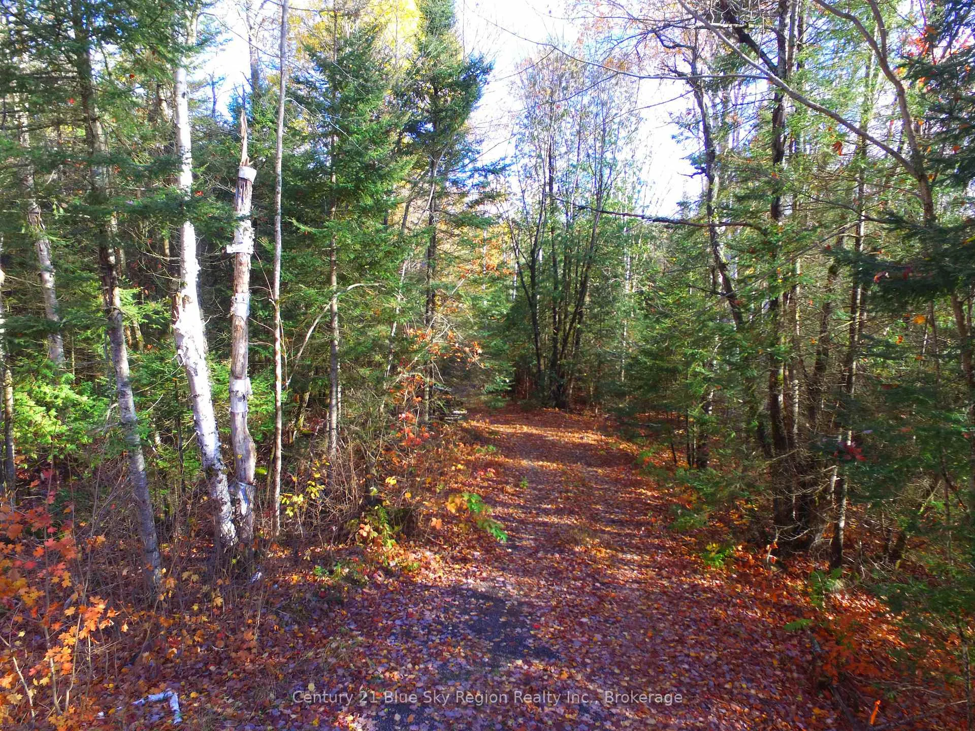 Photo 2 of Pt Lt 2 Con 4 McFadden Line, Parry Sound Remote Area, Laurier — HOMEH
