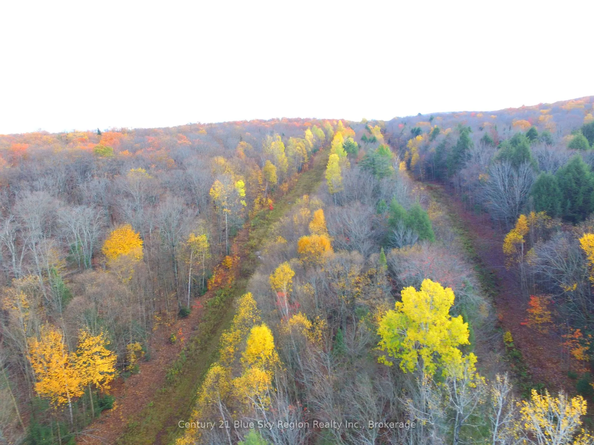 Photo 6 of Pt Lt 2 Con 4 McFadden Line, Parry Sound Remote Area, Laurier — HOMEH