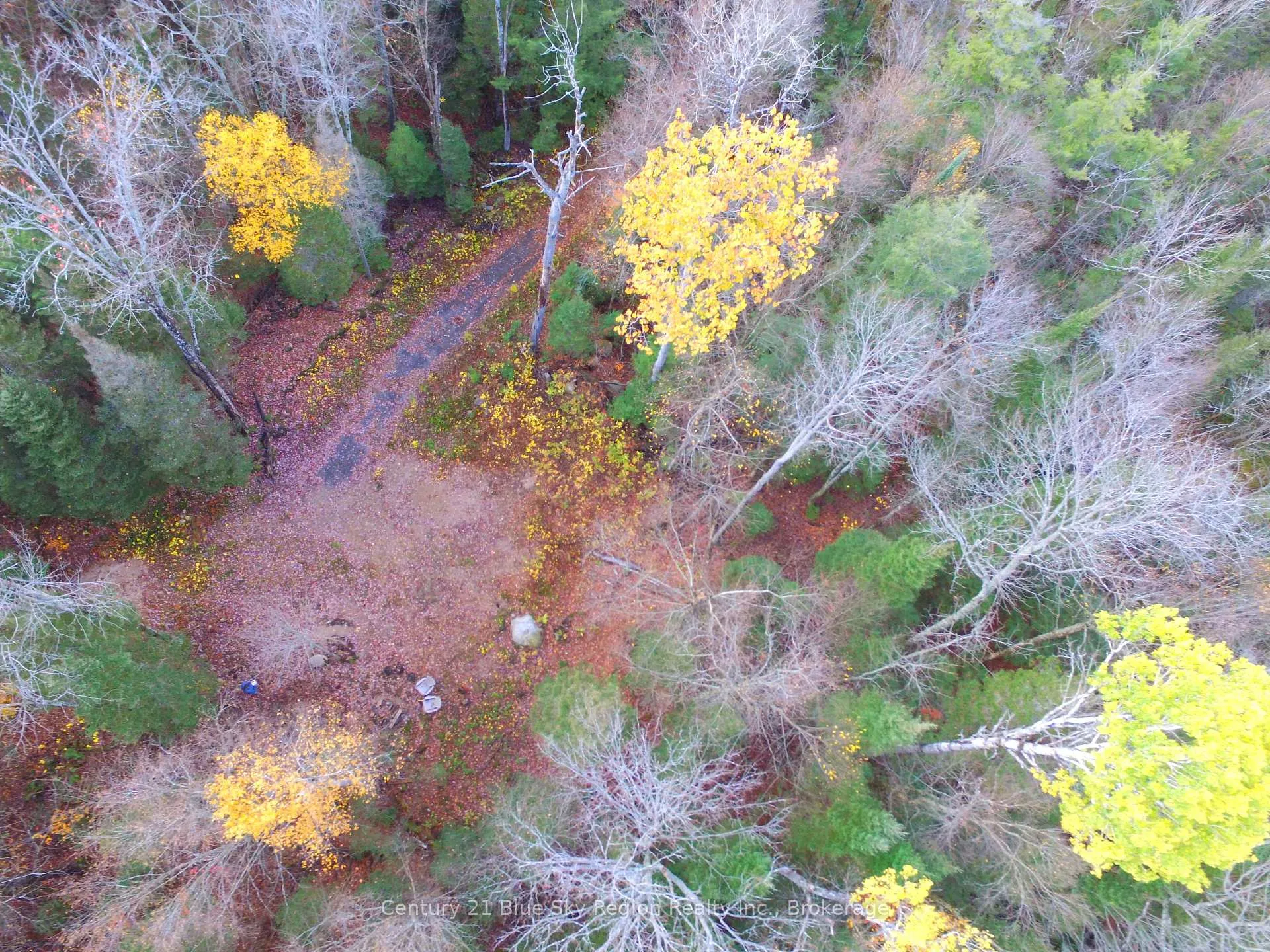 Photo 7 of Pt Lt 2 Con 4 McFadden Line, Parry Sound Remote Area, Laurier — HOMEH