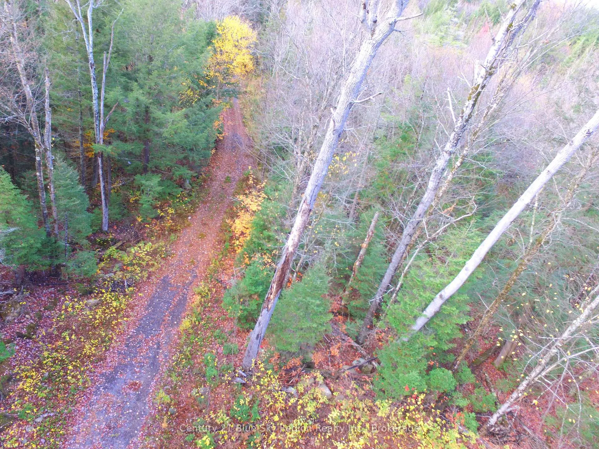 Photo 8 of Pt Lt 2 Con 4 McFadden Line, Parry Sound Remote Area, Laurier — HOMEH