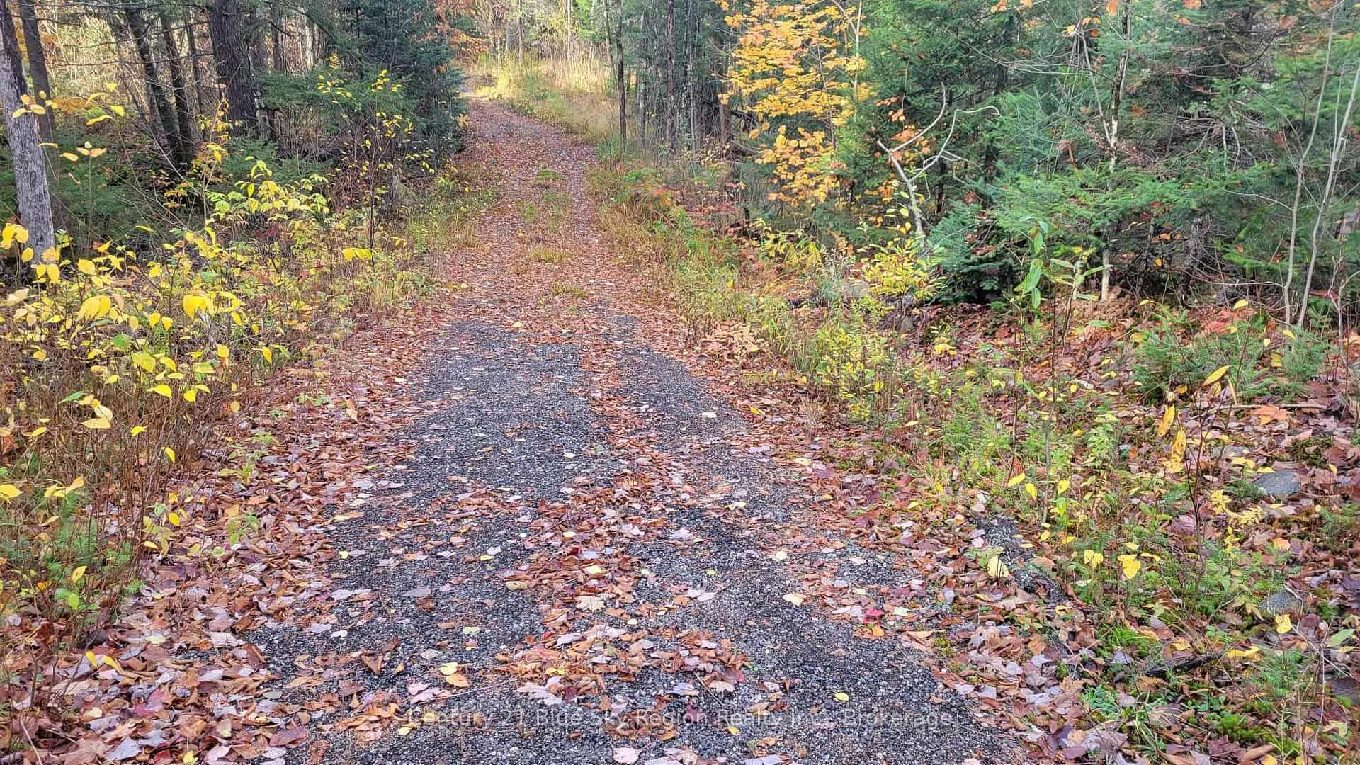 Photo 9 of Pt Lt 2 Con 4 McFadden Line, Parry Sound Remote Area, Laurier — HOMEH