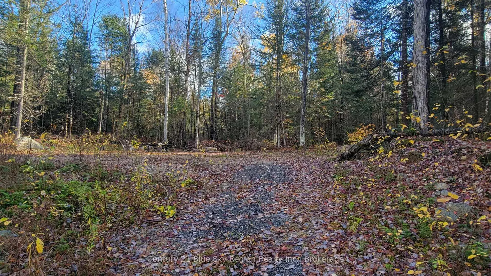 Photo 10 of Pt Lt 2 Con 4 McFadden Line, Parry Sound Remote Area, Laurier — HOMEH