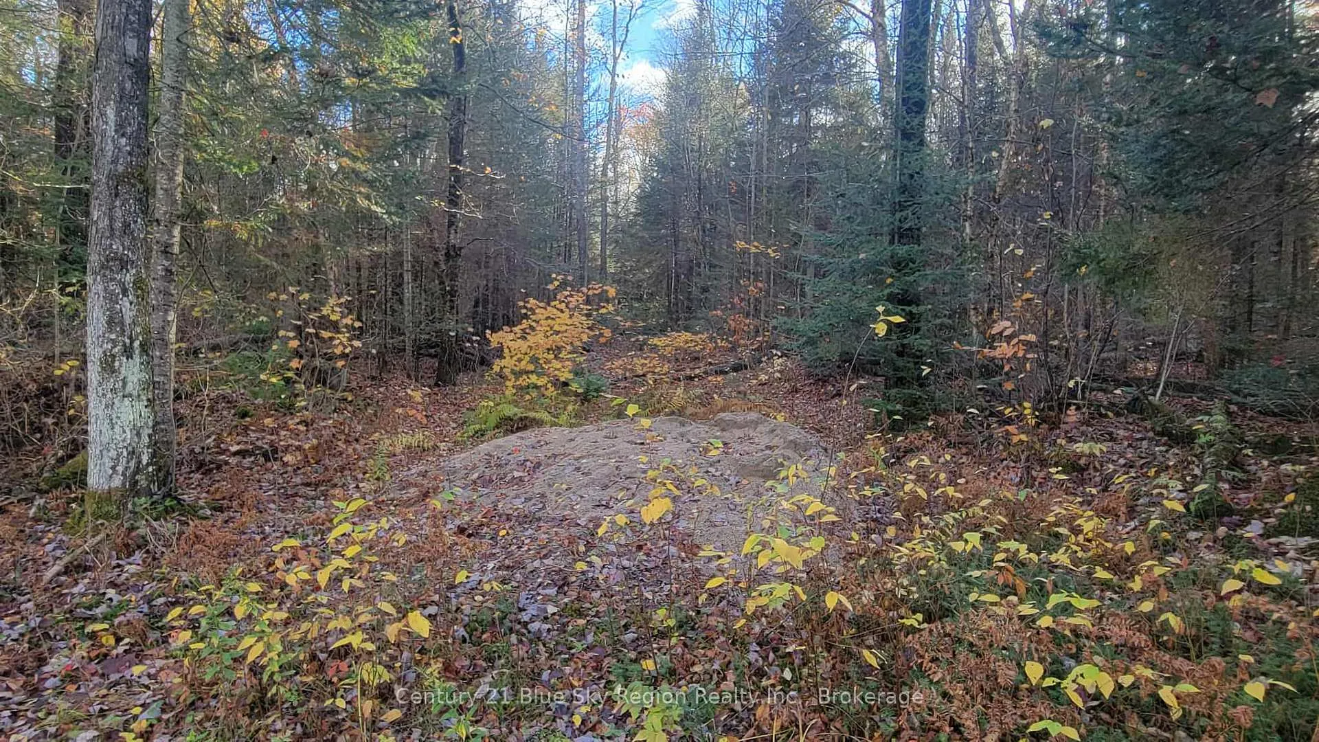 Photo 11 of Pt Lt 2 Con 4 McFadden Line, Parry Sound Remote Area, Laurier — HOMEH