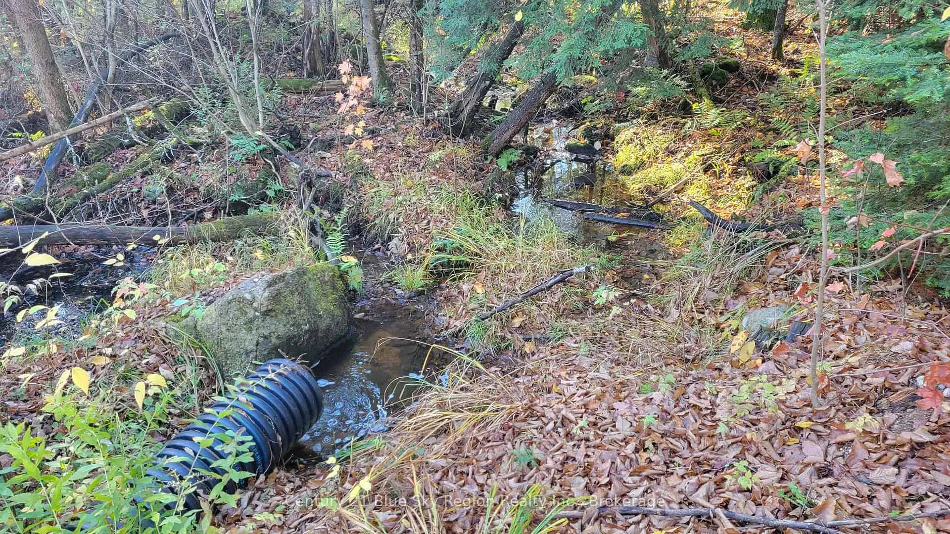 Photo 12 of Pt Lt 2 Con 4 McFadden Line, Parry Sound Remote Area, Laurier — HOMEH