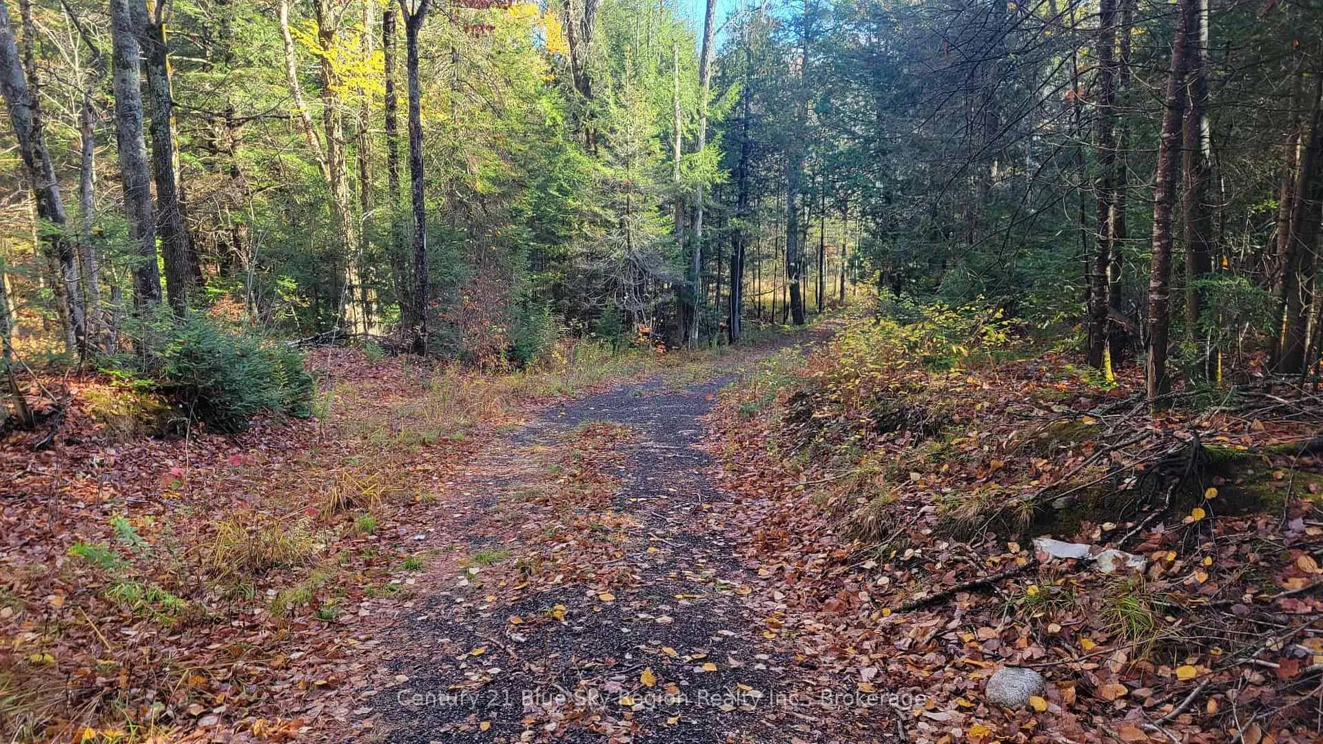 Photo 14 of Pt Lt 2 Con 4 McFadden Line, Parry Sound Remote Area, Laurier — HOMEH