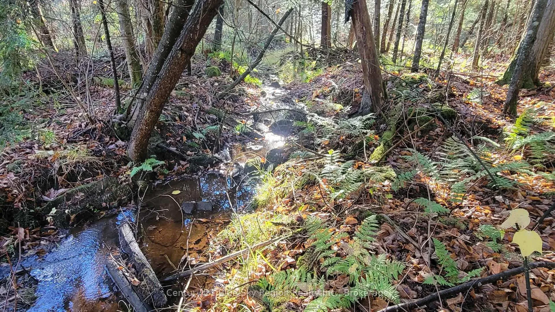 Photo 15 of Pt Lt 2 Con 4 McFadden Line, Parry Sound Remote Area, Laurier — HOMEH