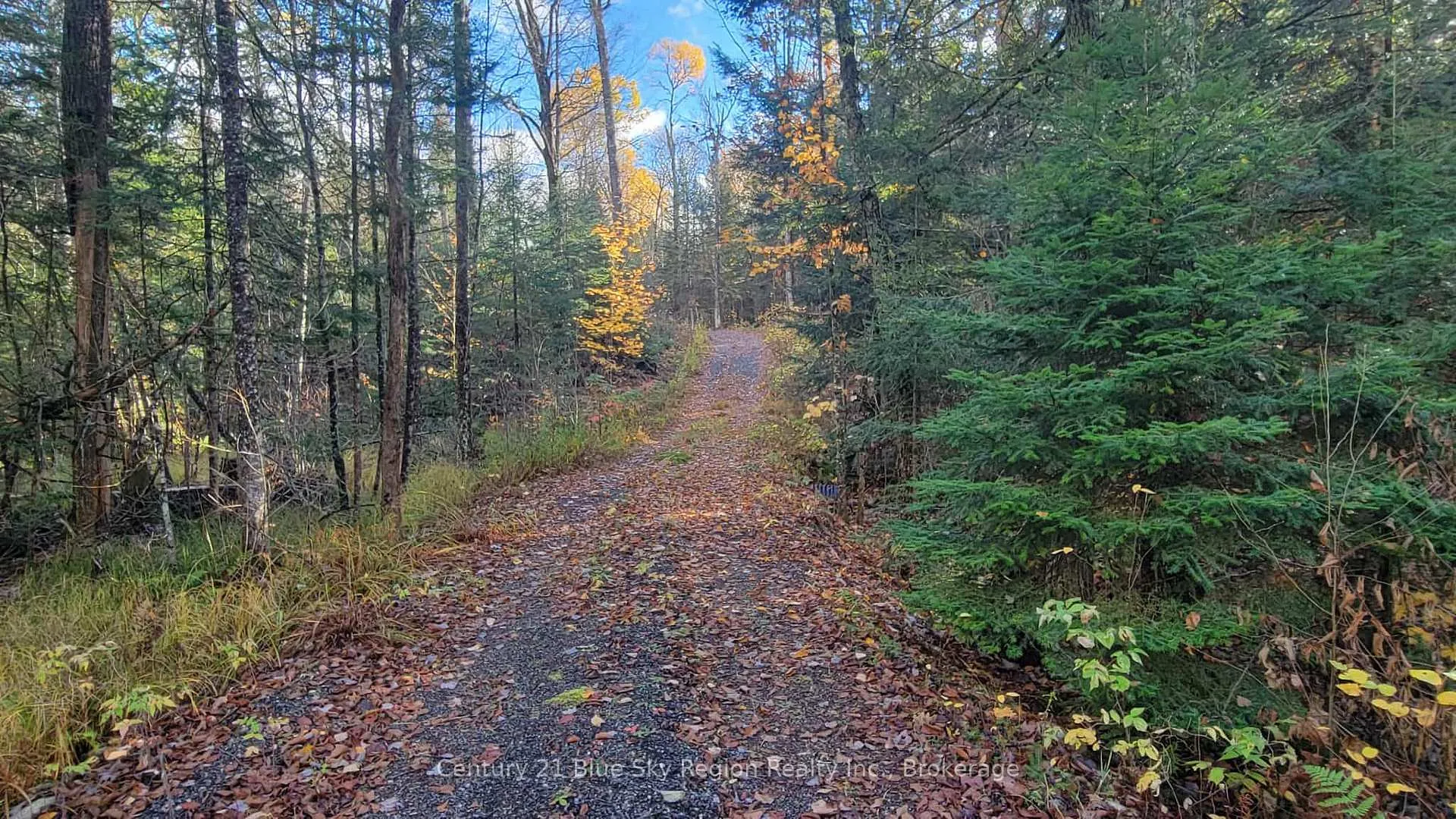 Photo 18 of Pt Lt 2 Con 4 McFadden Line, Parry Sound Remote Area, Laurier — HOMEH