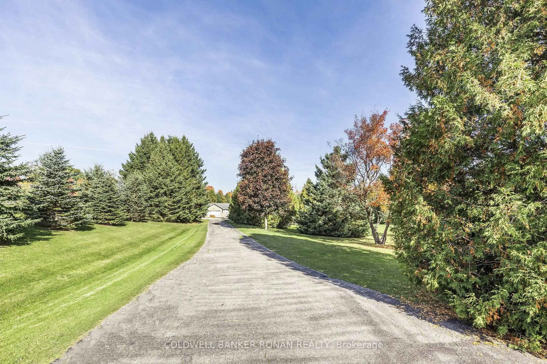 Photo 2 of 20 Mountainview Road, Mulmur, Rural Mulmur — HOMEH