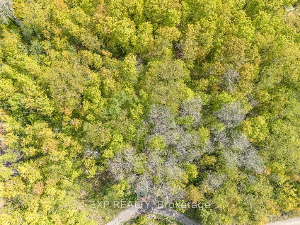 Photo 33 of 178 Maplegrove Lane, North Algona Wilberforce, North Algona/Wilberforce Twp — HOMEH