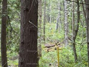 Photo 3 of 000 KENYON Dam Rd, North Glengarry, North Glengarry (Kenyon) Twp — HOMEH