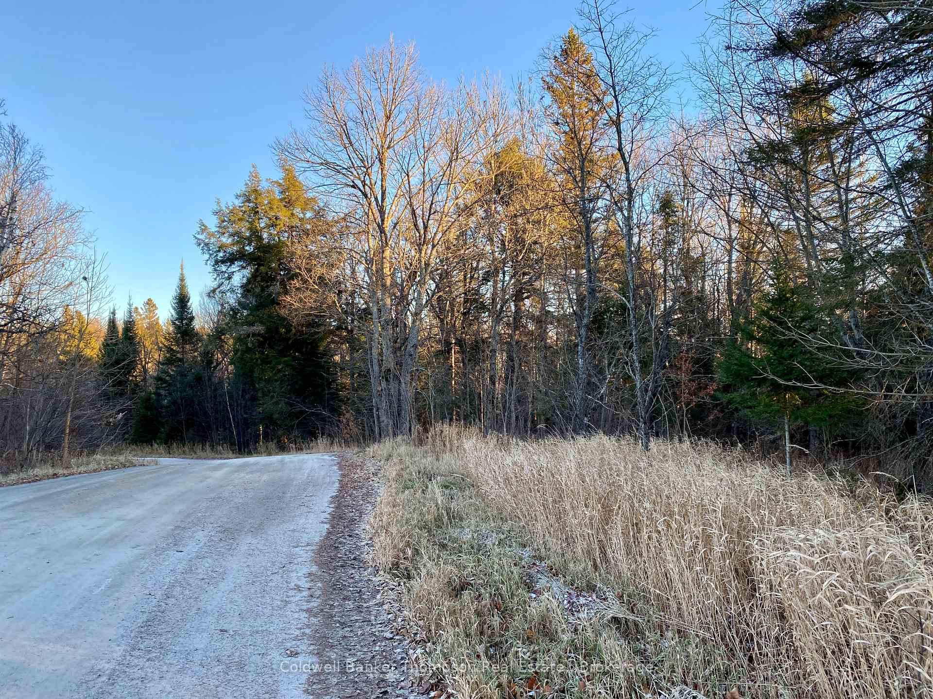 Photo 1 of 46 Spur Road E, Parry Sound Remote Area, East Mills — HOMEH