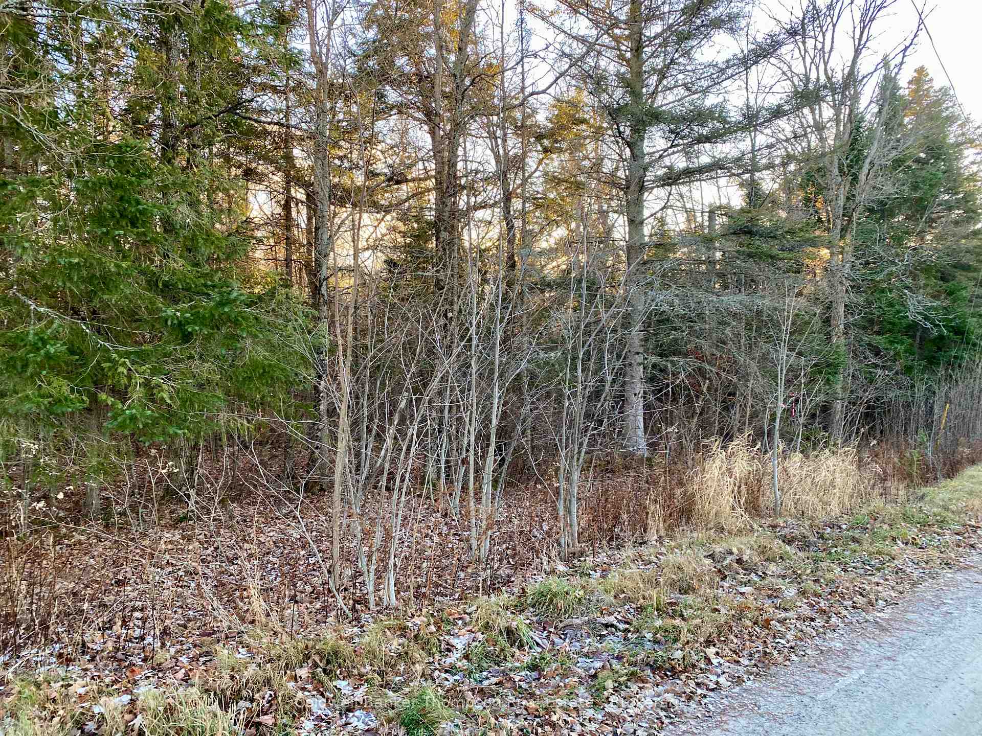 Photo 3 of 46 Spur Road E, Parry Sound Remote Area, East Mills — HOMEH