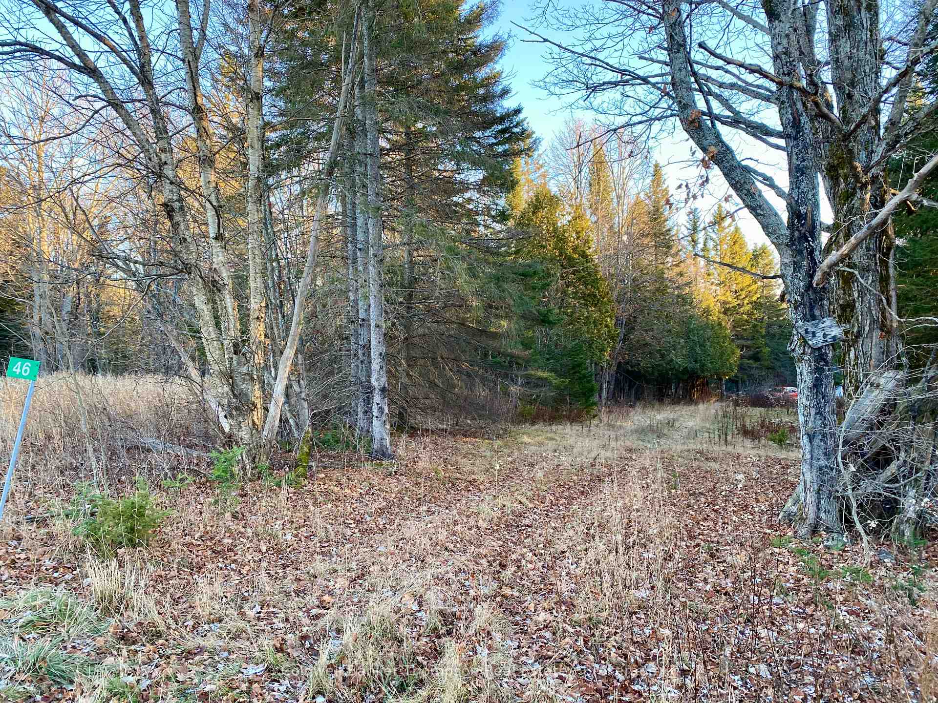 Photo 4 of 46 Spur Road E, Parry Sound Remote Area, East Mills — HOMEH