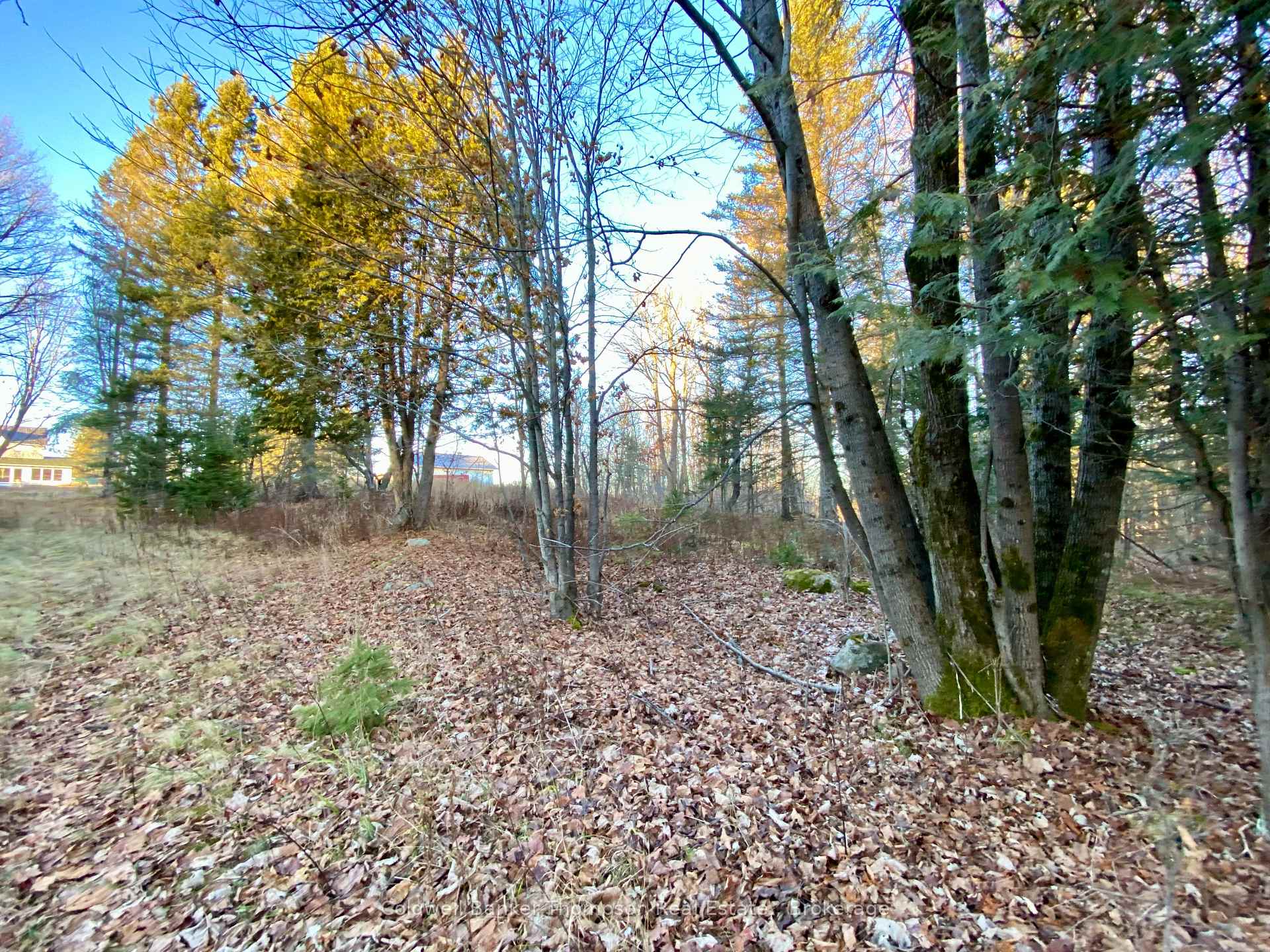 Photo 5 of 46 Spur Road E, Parry Sound Remote Area, East Mills — HOMEH