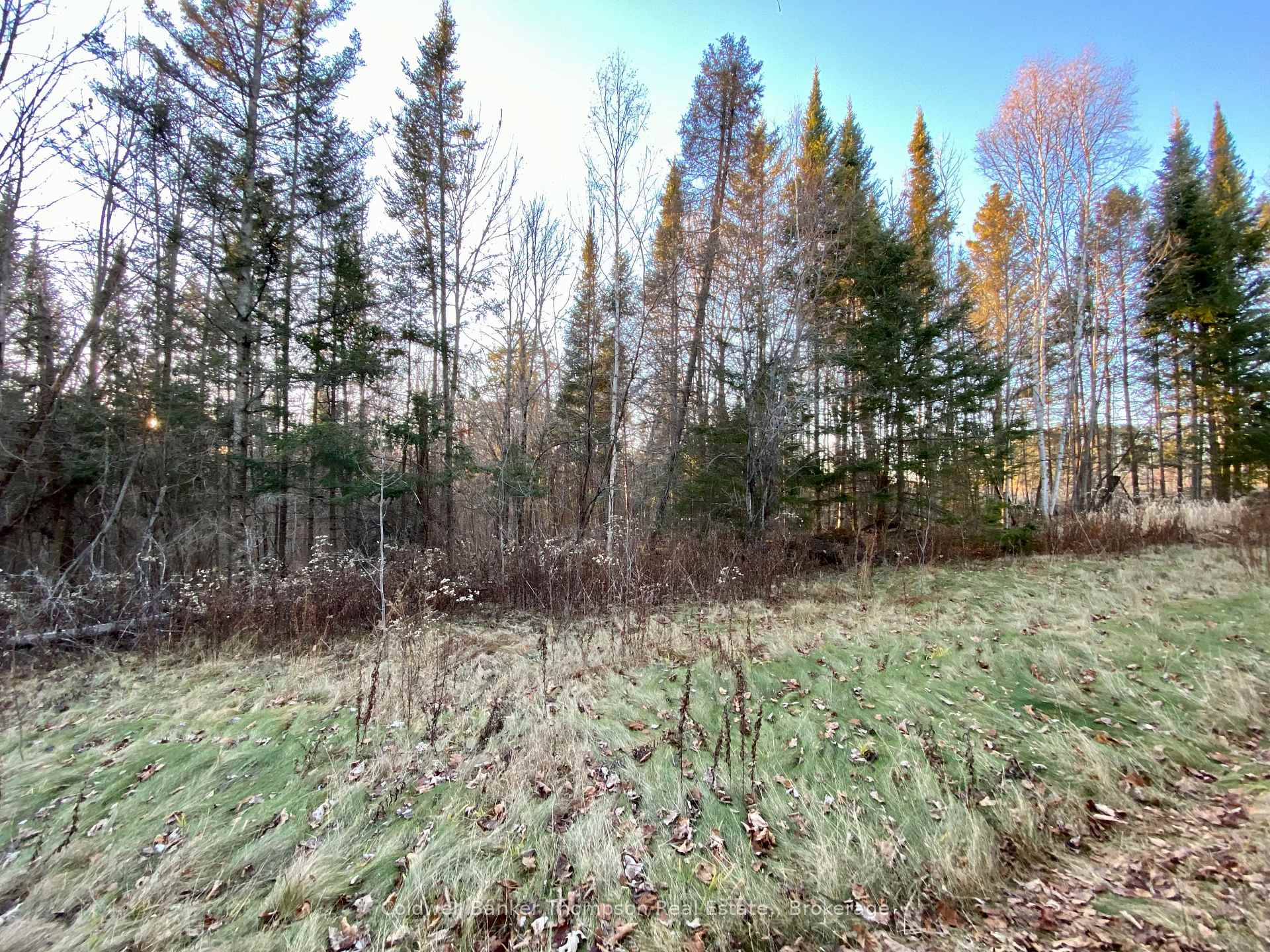 Photo 6 of 46 Spur Road E, Parry Sound Remote Area, East Mills — HOMEH