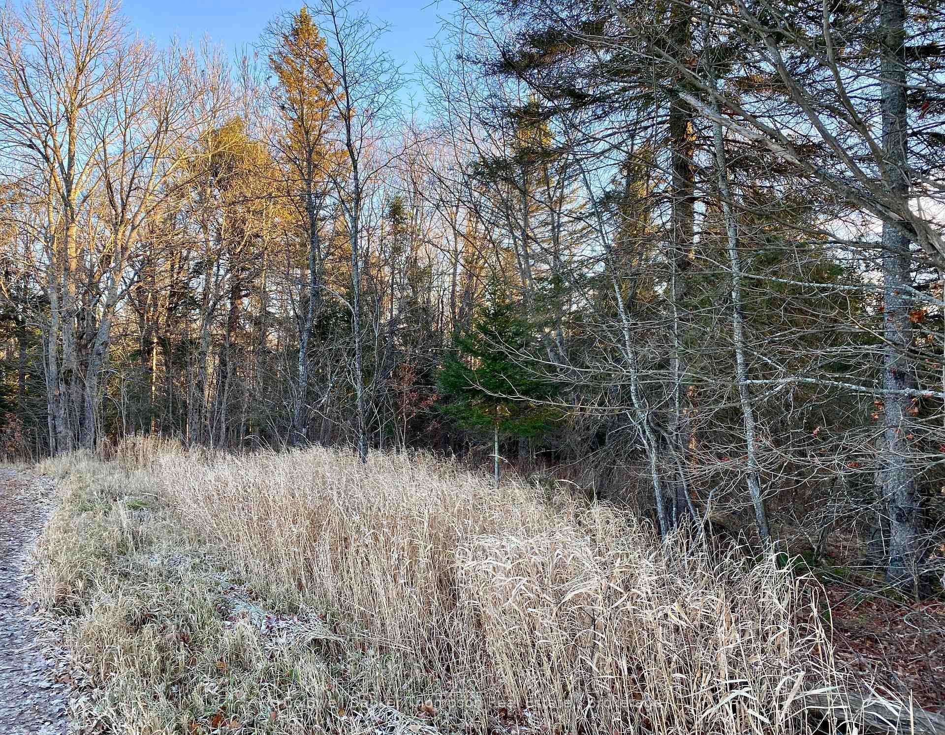 Photo 7 of 46 Spur Road E, Parry Sound Remote Area, East Mills — HOMEH