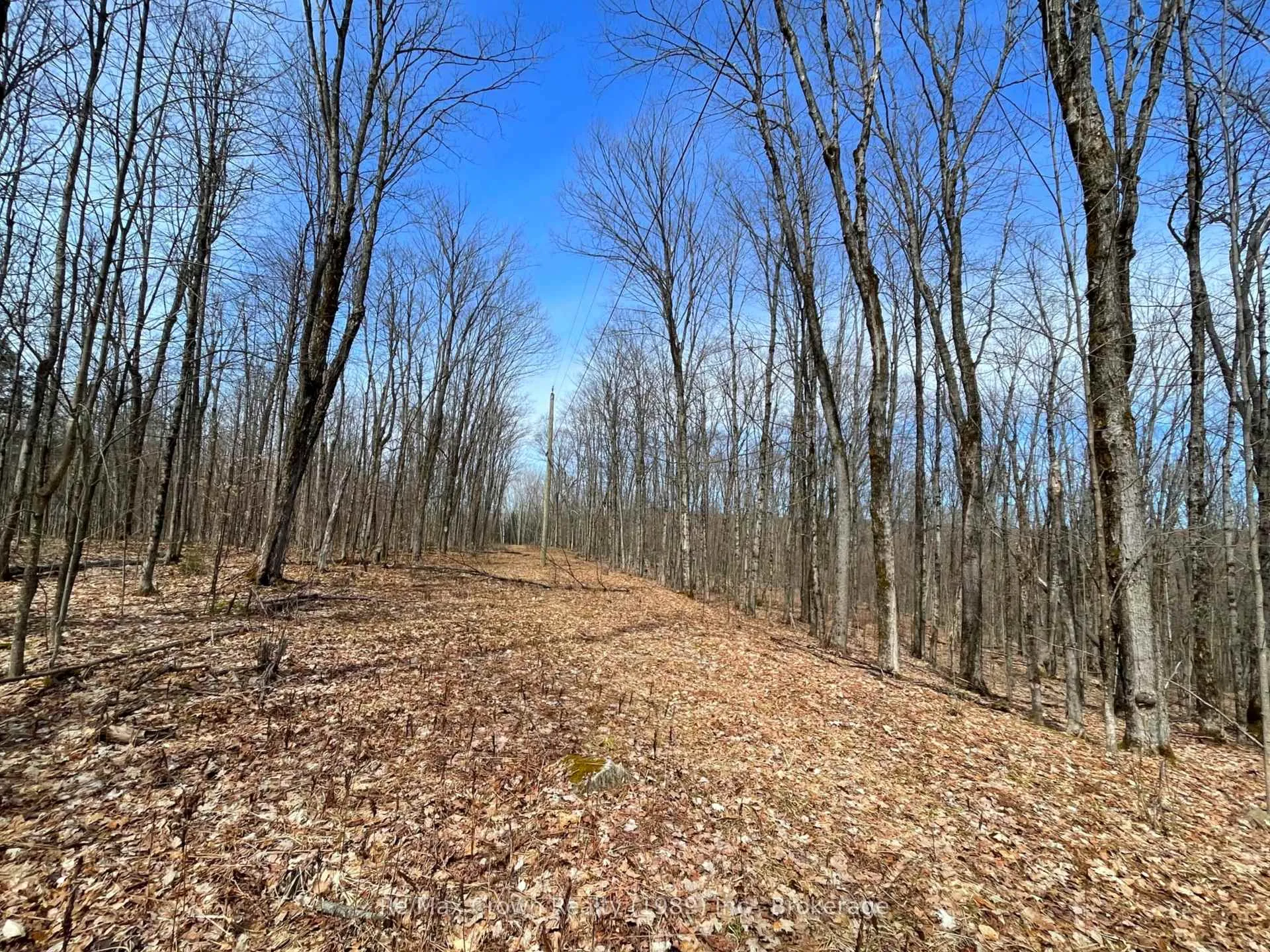 Photo 2 of 0B Pilgers Road, Nipissing — HOMEH