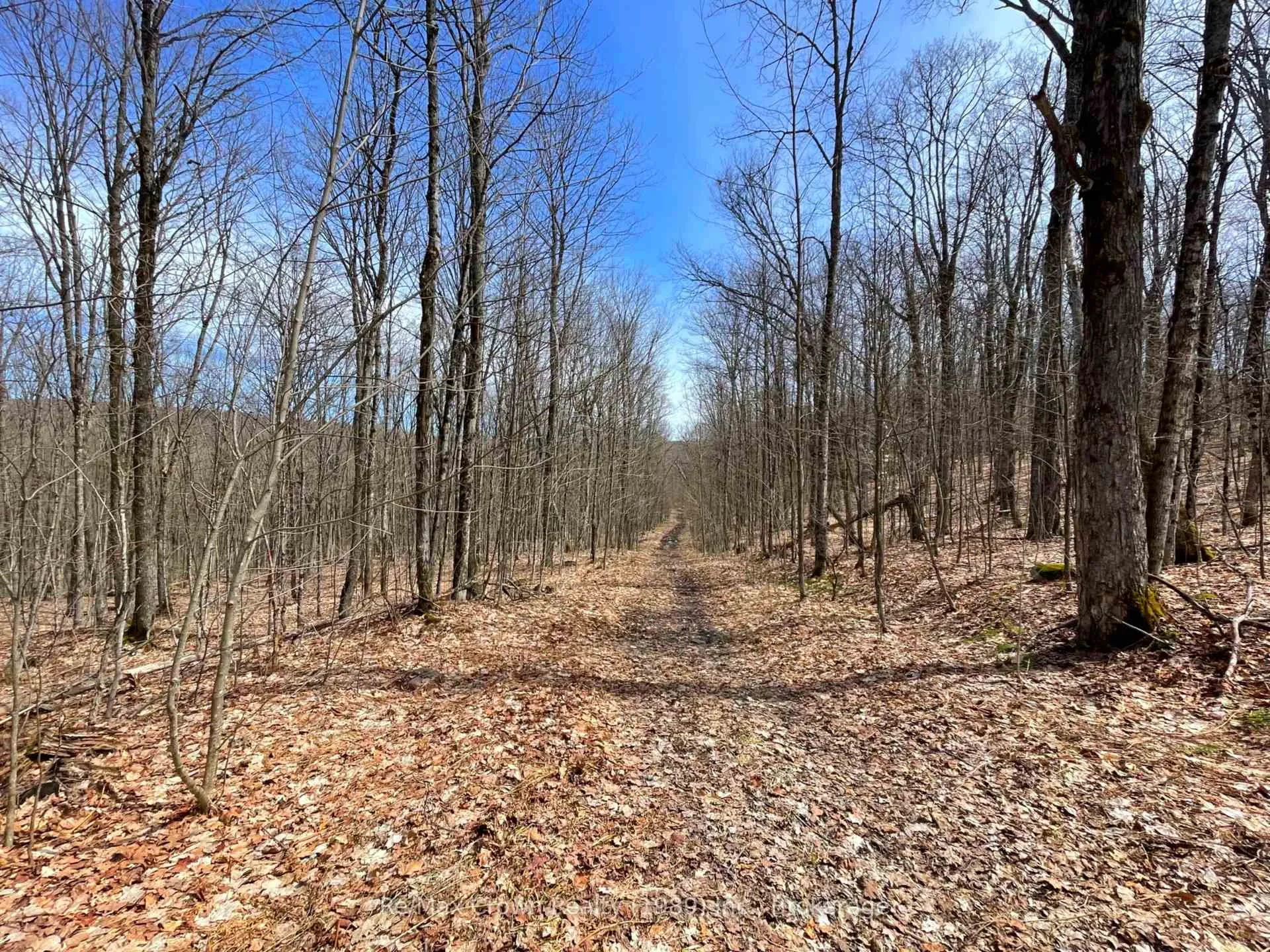 Photo 4 of 0B Pilgers Road, Nipissing — HOMEH