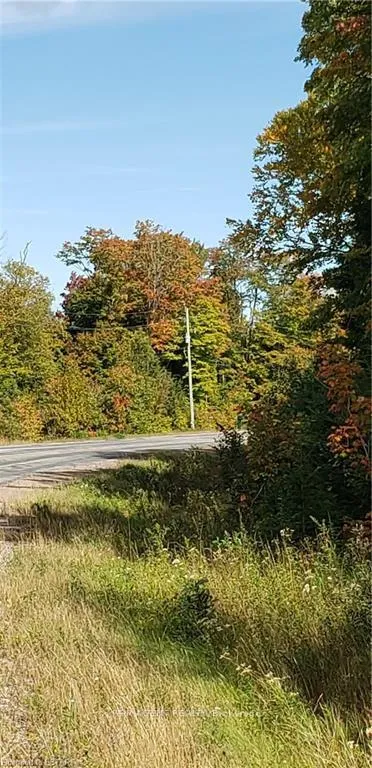 Photo 4 of 3339 Highway 534, Nipissing — HOMEH
