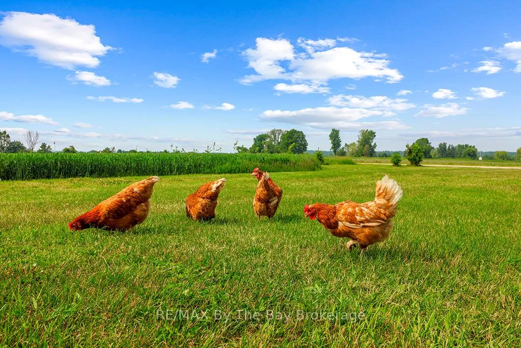 Photo 11 of 828482 Mulmur Nottawasaga T Line, Mulmur, Rural Mulmur — HOMEH