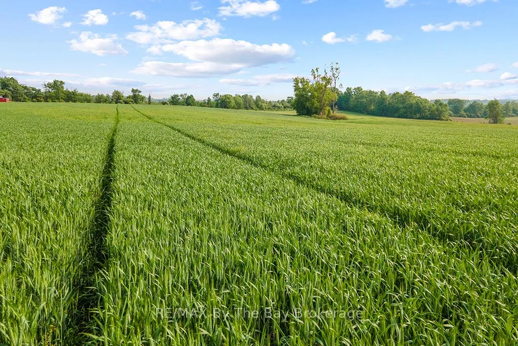 Photo 34 of 828482 Mulmur Nottawasaga T Line, Mulmur, Rural Mulmur — HOMEH