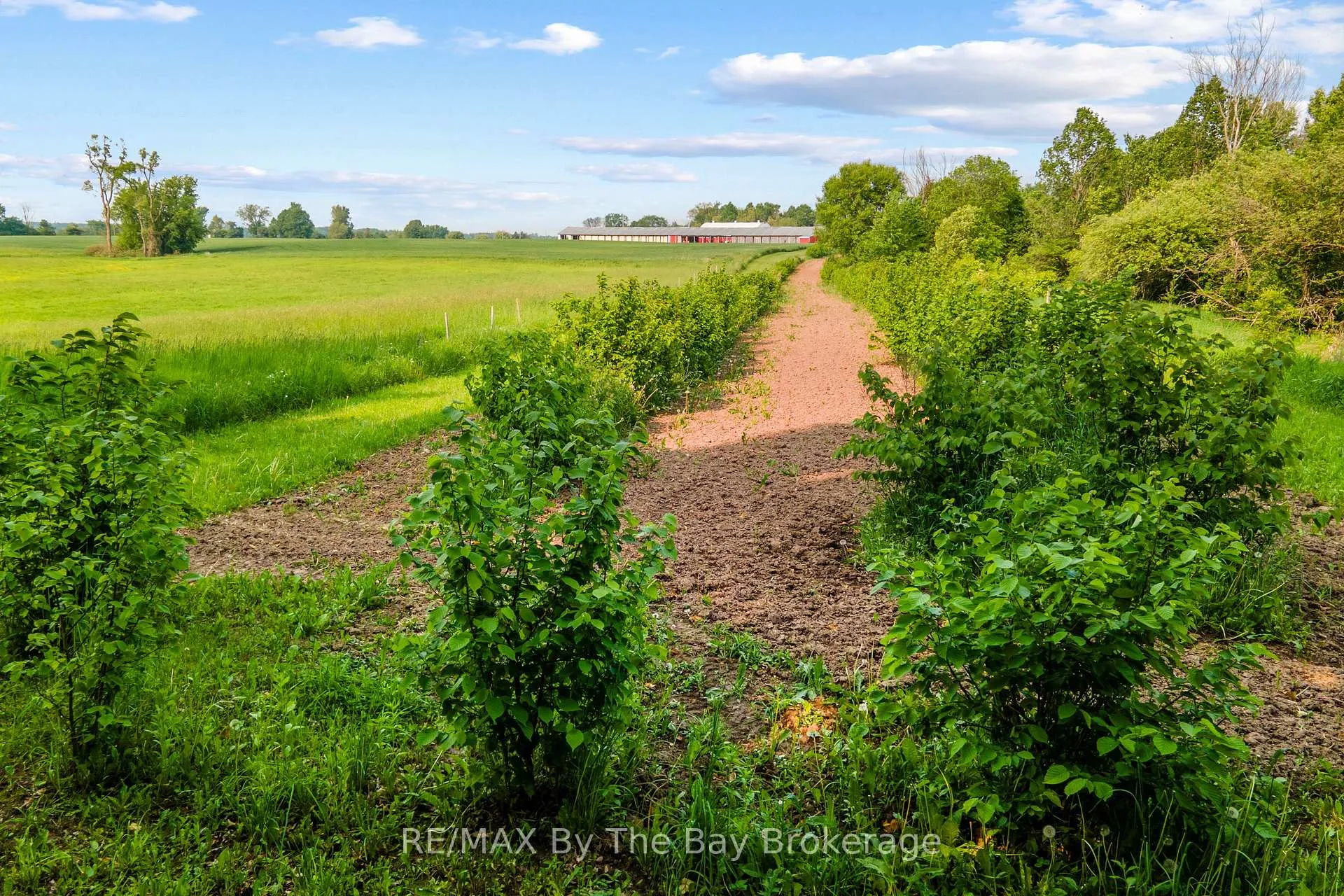 Photo 36 of 828482 Mulmur Nottawasaga T Line, Mulmur, Rural Mulmur — HOMEH