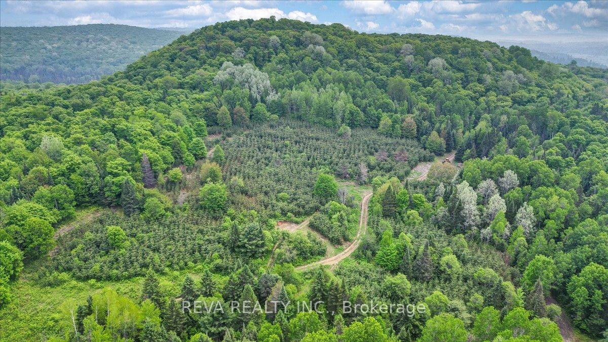 Photo 31 of 351 Deer Lake Road, Perry, Emsdale — HOMEH