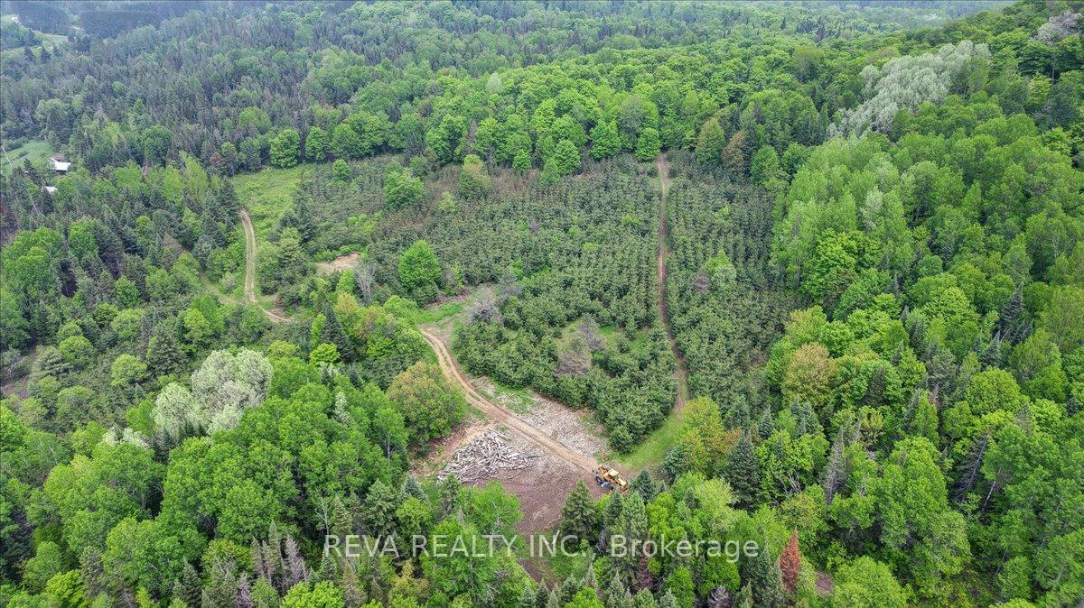Photo 32 of 351 Deer Lake Road, Perry, Emsdale — HOMEH