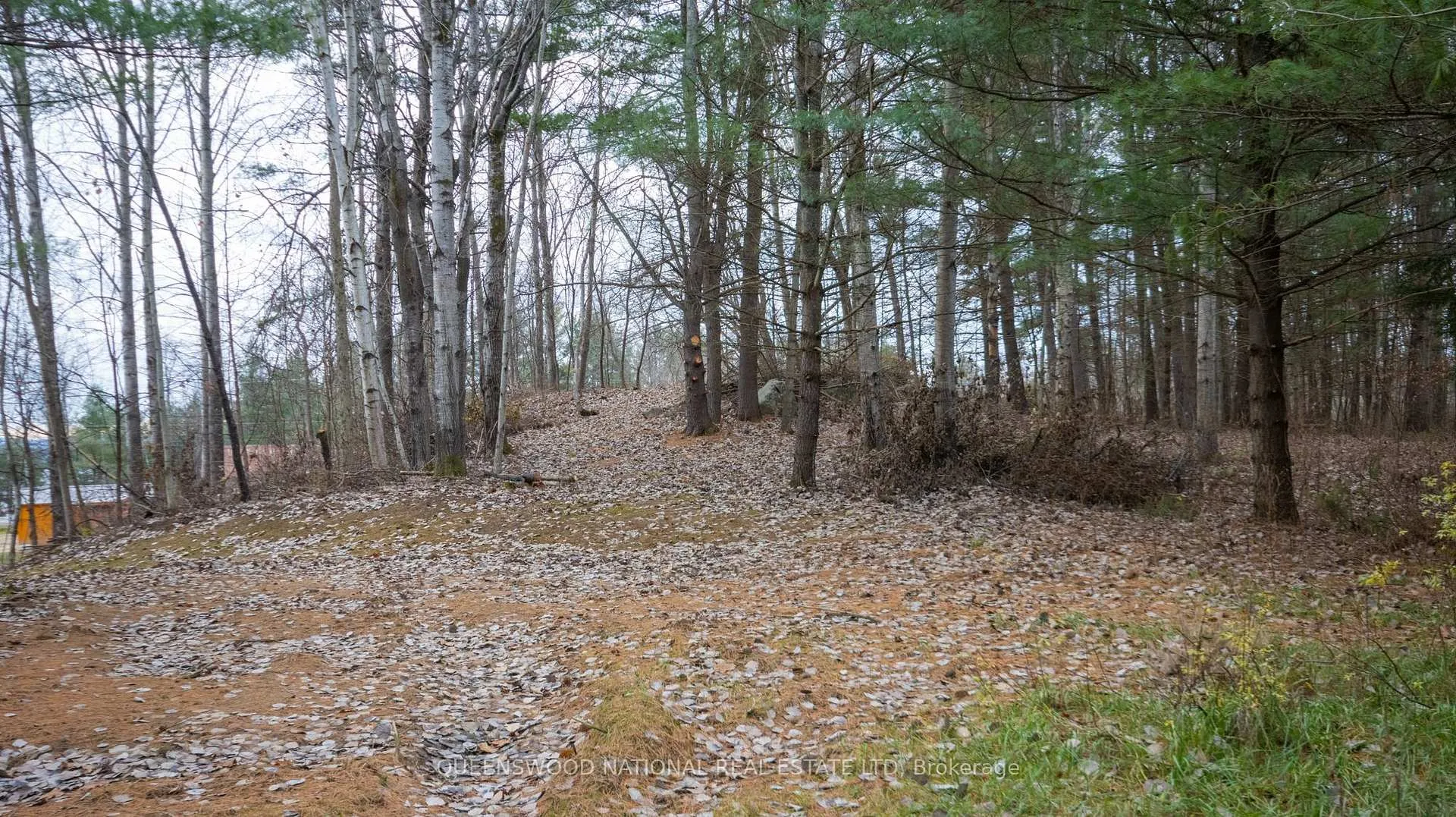Photo 7 of 12894 Highway 60 Route, North Algona Wilberforce, North Algona/Wilberforce Twp — HOMEH