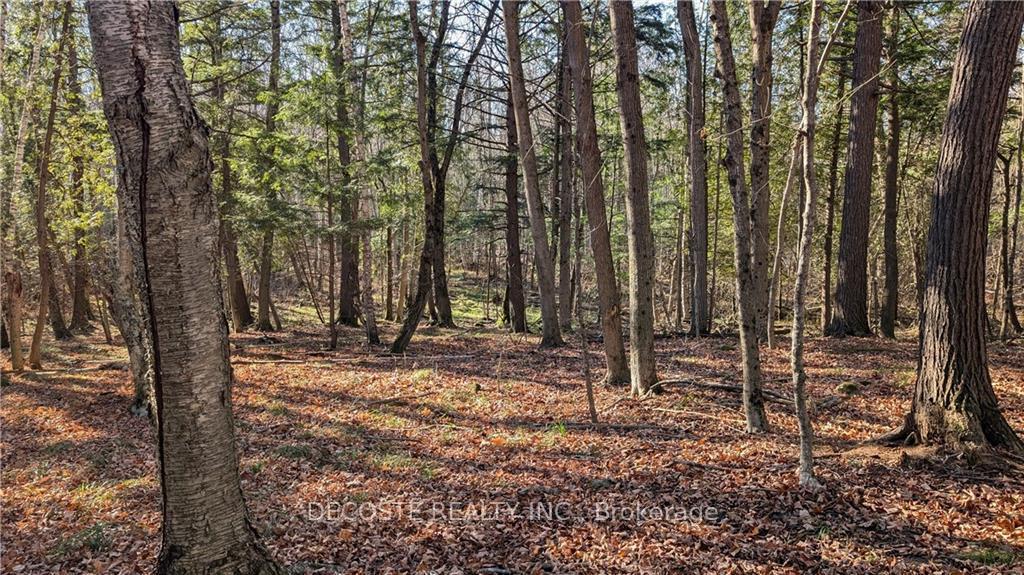 Photo 10 of 3038 County 30 Road, North Glengarry, North Glengarry (Kenyon) Twp — HOMEH