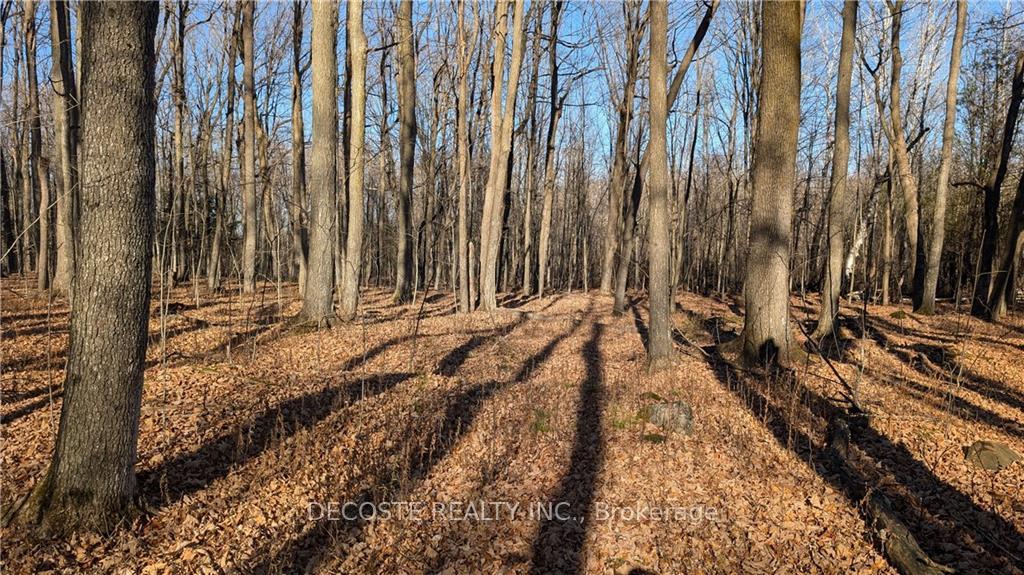 Photo 11 of 3038 County 30 Road, North Glengarry, North Glengarry (Kenyon) Twp — HOMEH