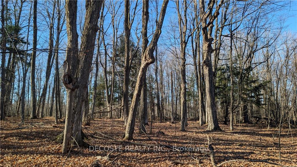 Photo 12 of 3038 County 30 Road, North Glengarry, North Glengarry (Kenyon) Twp — HOMEH