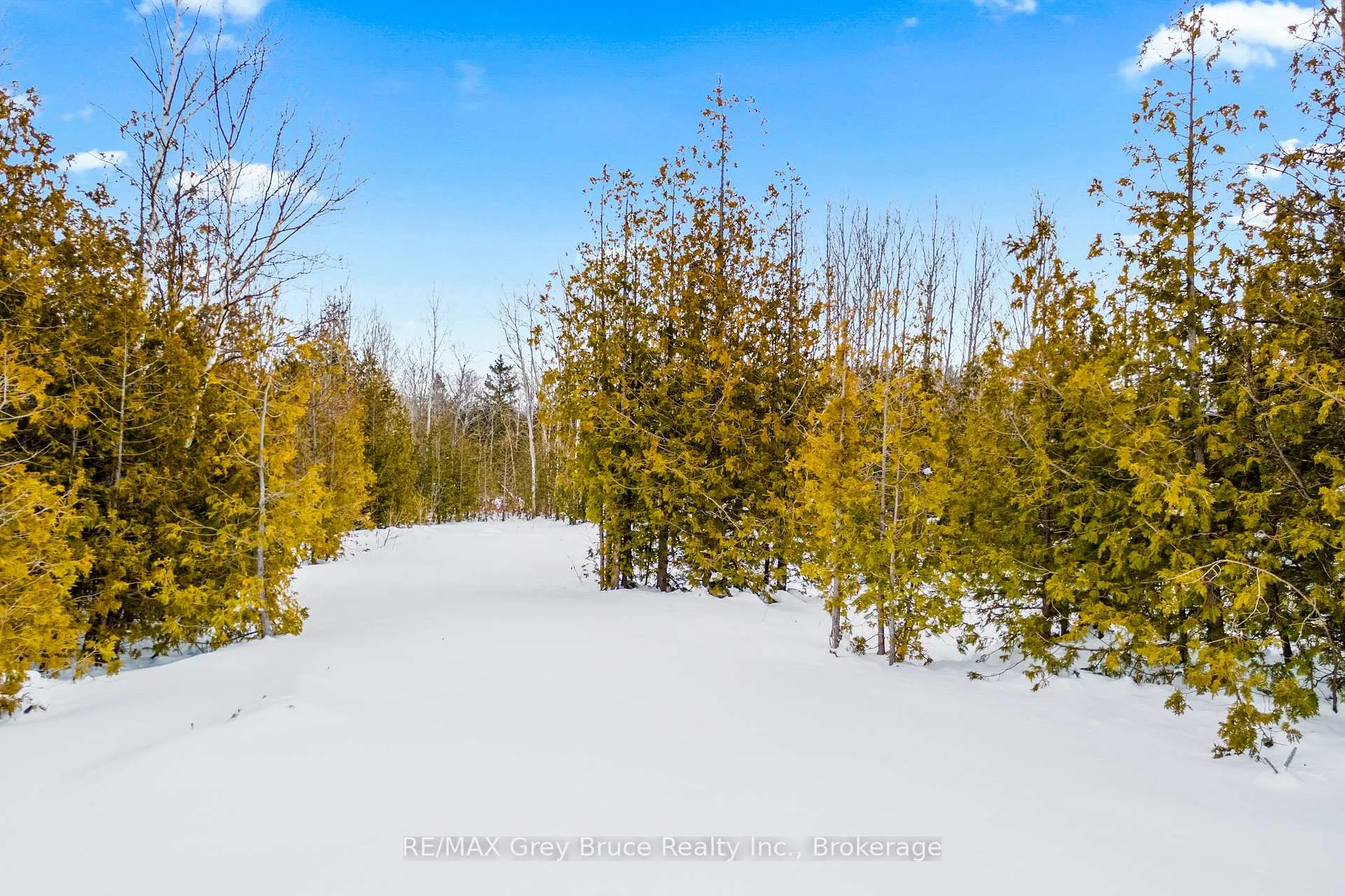 Photo 12 of PT 9/10 Highway 6, Northern Bruce Peninsula — HOMEH