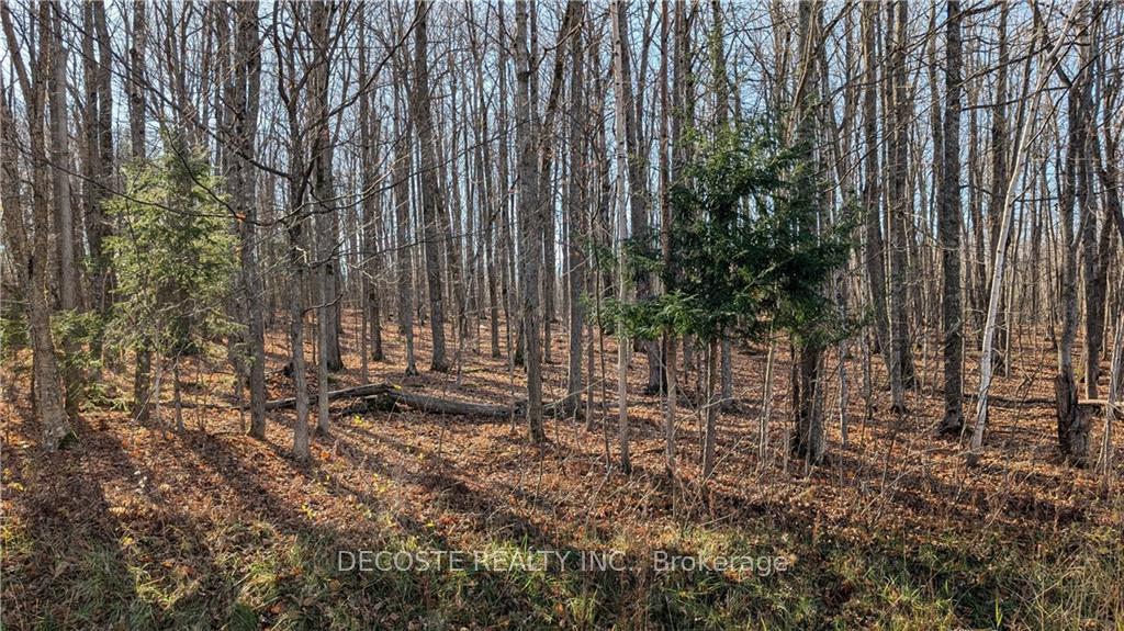 Photo 2 of County 30 Road, North Glengarry, North Glengarry (Kenyon) Twp — HOMEH