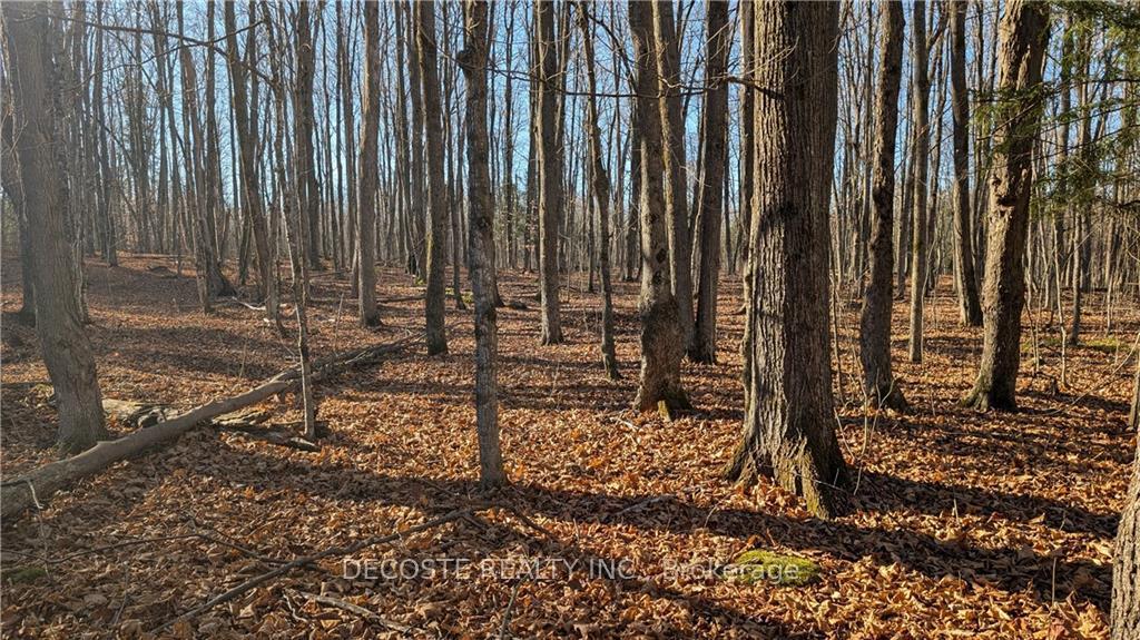 Photo 3 of County 30 Road, North Glengarry, North Glengarry (Kenyon) Twp — HOMEH