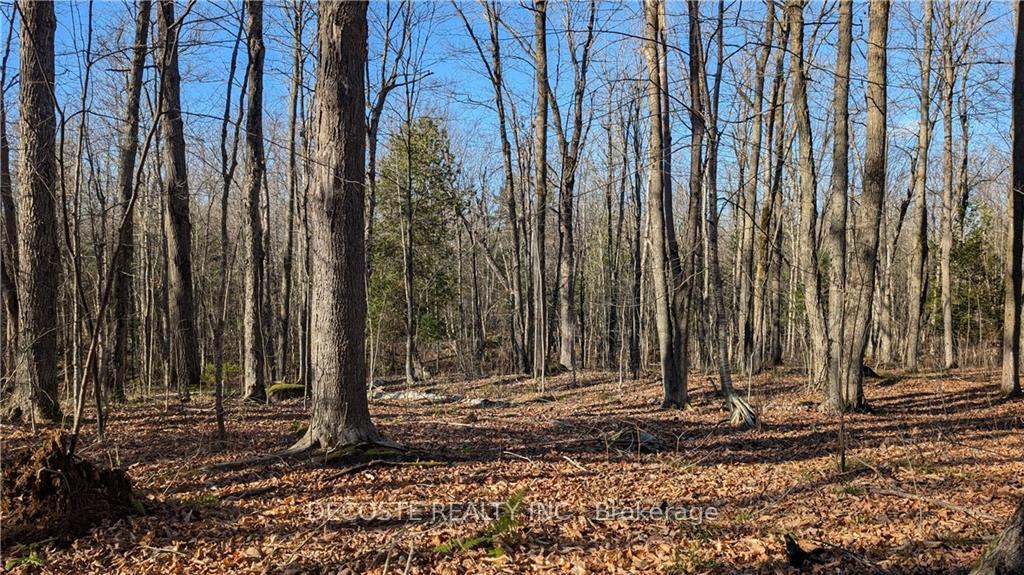 Photo 13 of County 30 Road, North Glengarry, North Glengarry (Kenyon) Twp — HOMEH