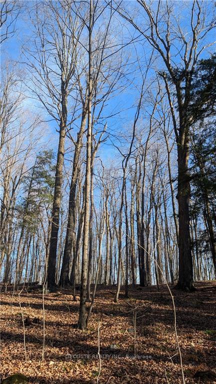 Photo 14 of County 30 Road, North Glengarry, North Glengarry (Kenyon) Twp — HOMEH